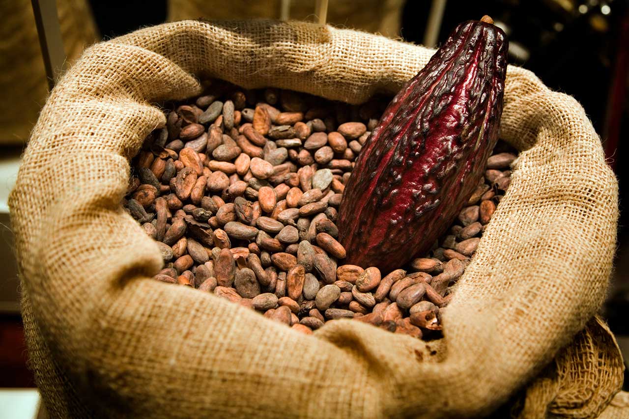 Strümpfe Empfohlen Italienisch kakao selber kochen Verhältnis Legende ...