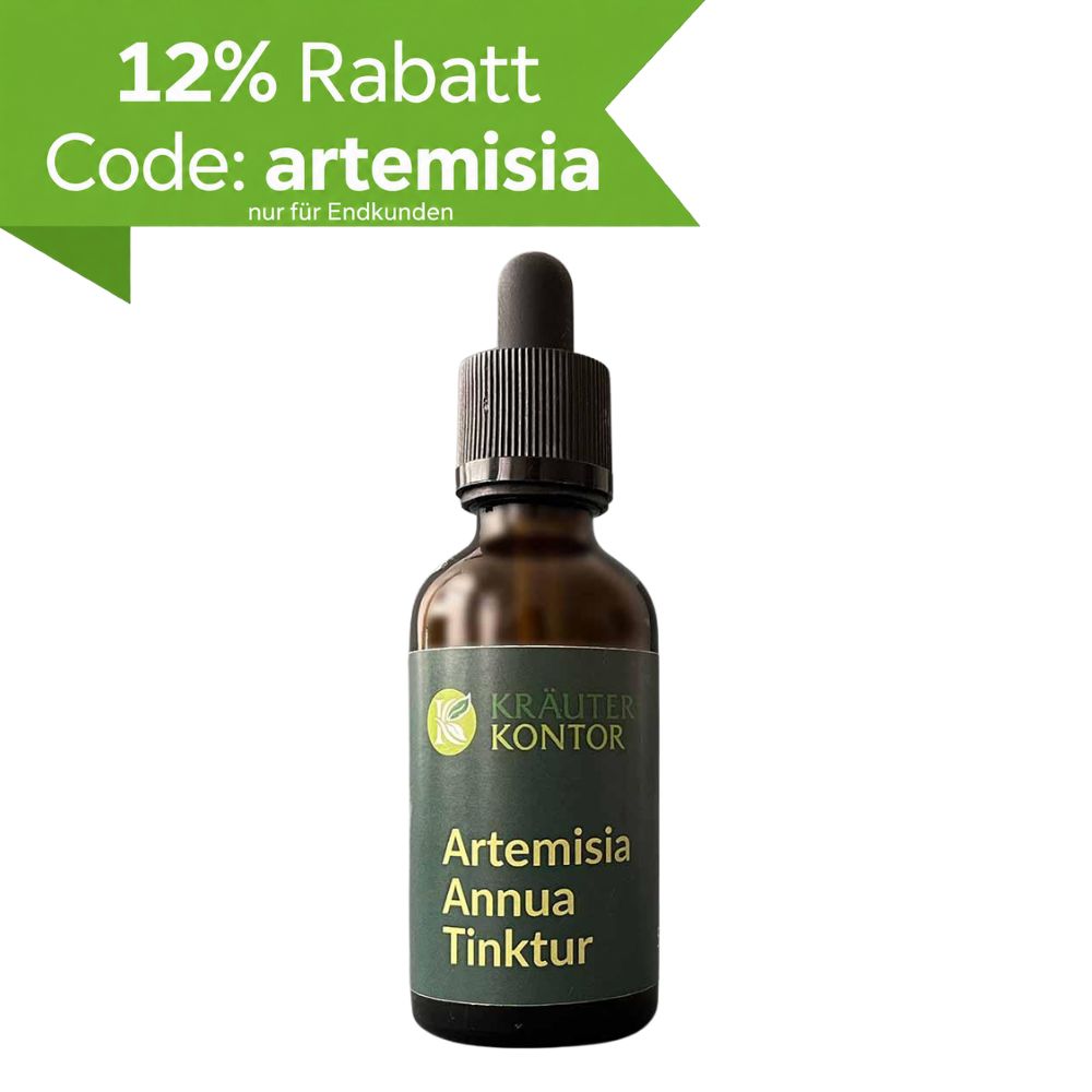 Artemisia-annua-Tinktur (einjähriger Beifuß)