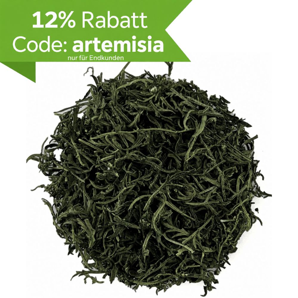 Artemisia Annua, Beifuß einjährig, Deluxe