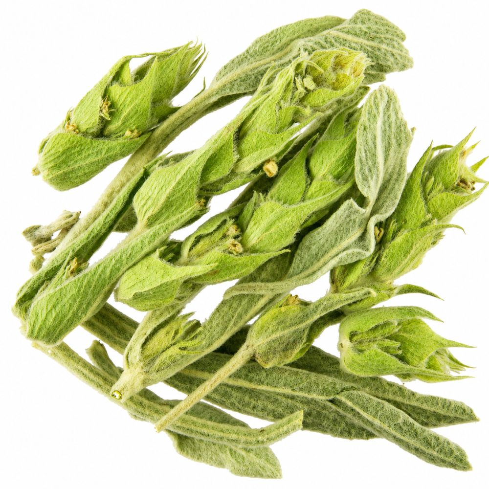Griechischer Bergtee, geschnitten BIO 100g
