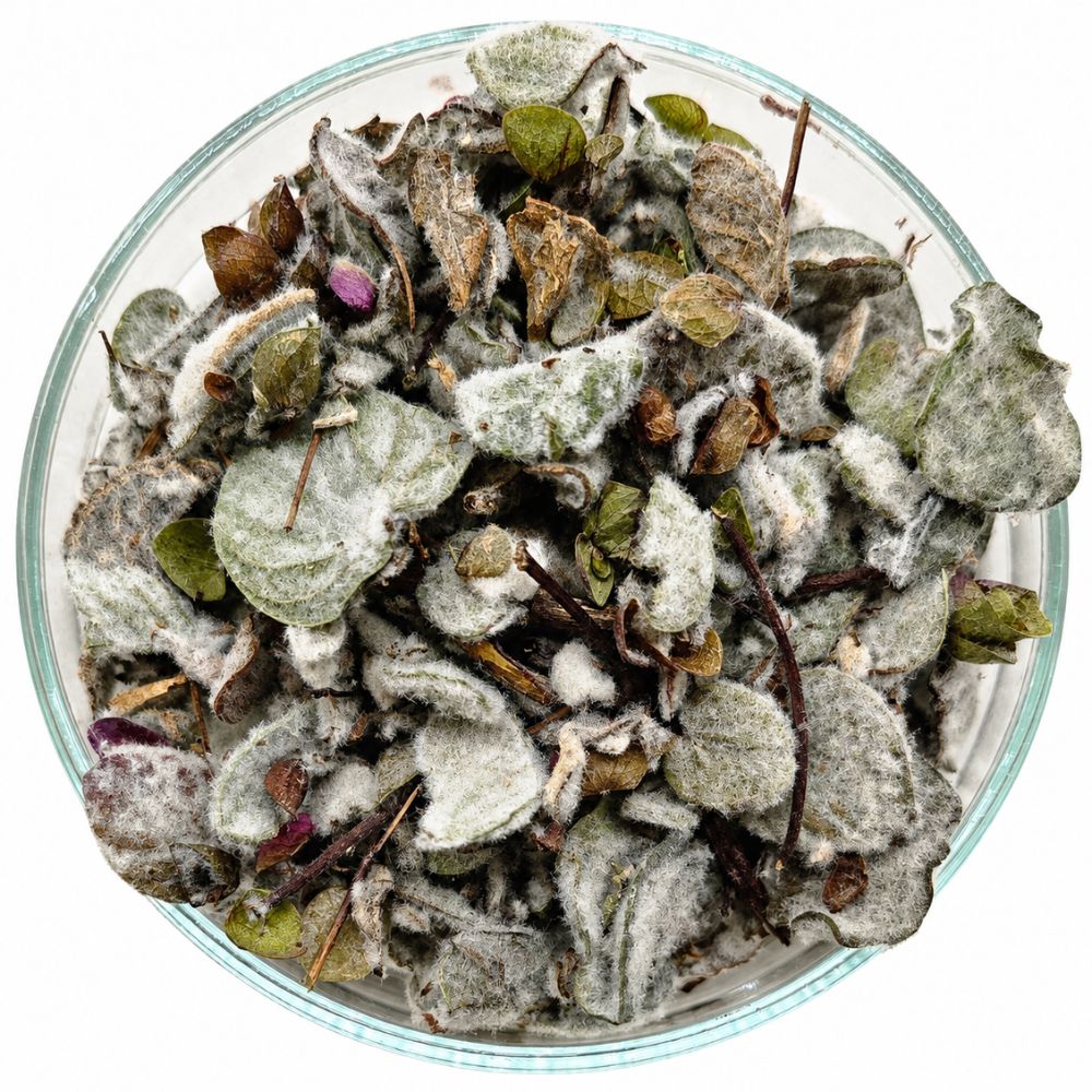 Diptam, Diktamos-Tee, Deluxe, BIO 50g