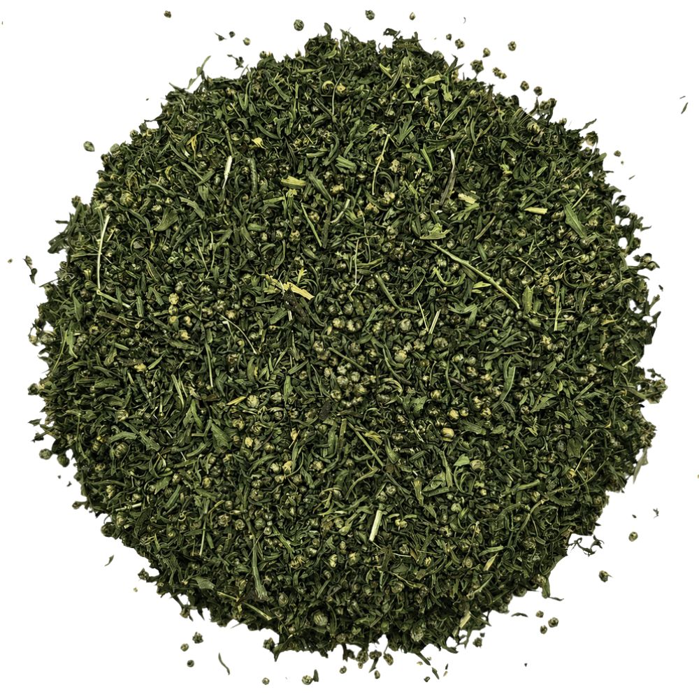 Artemisia Annua, Beifuß einjährig