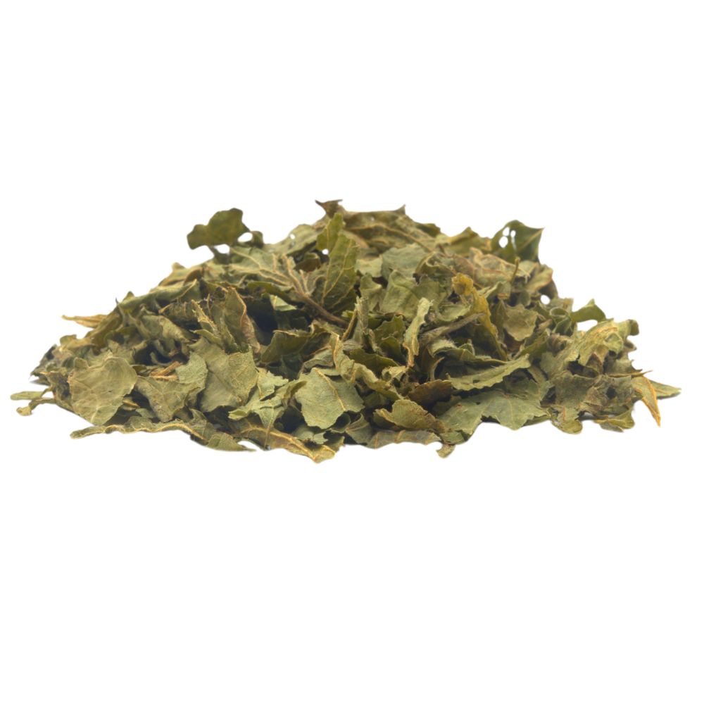 Brennnesselblaetter_bio_kraeuterhaufen