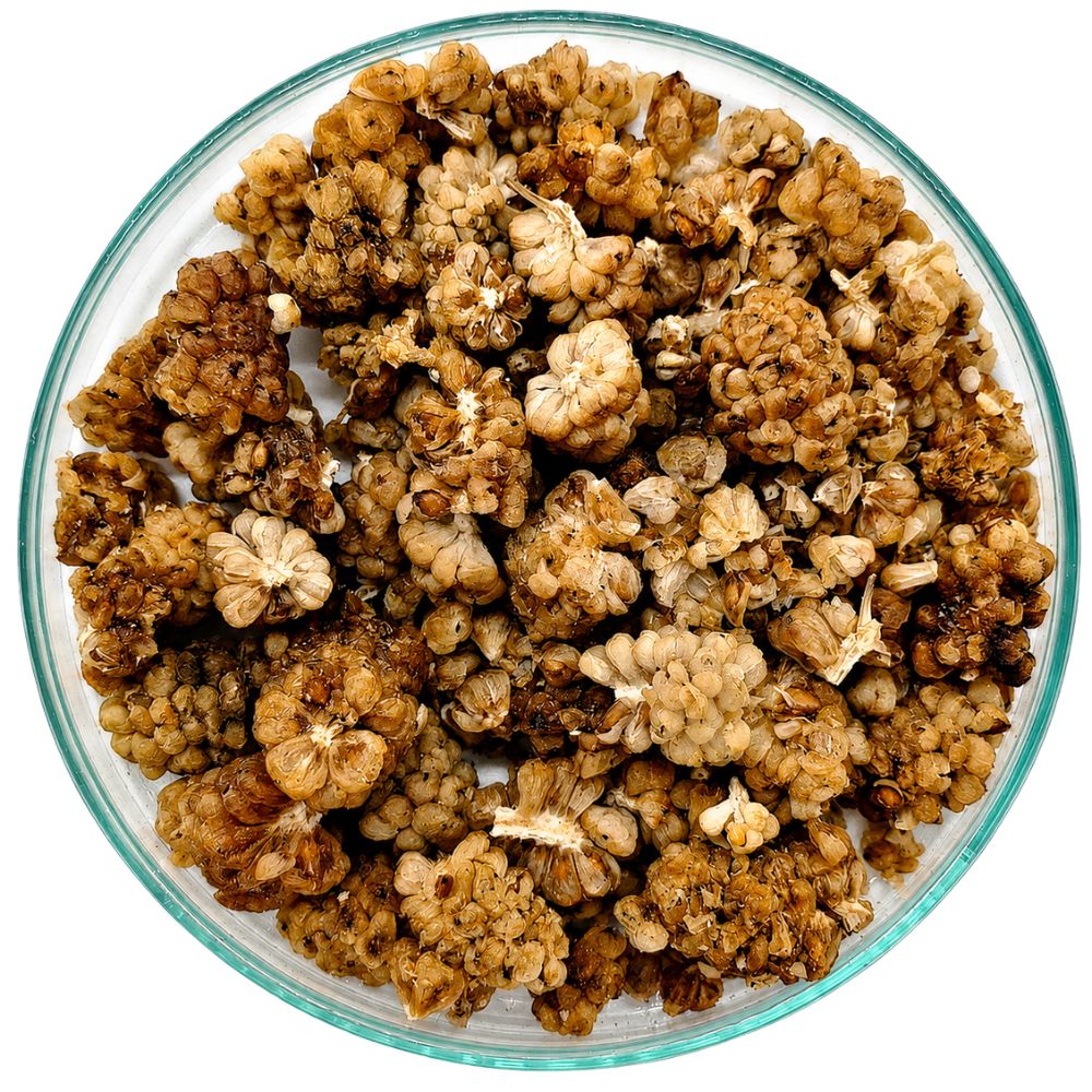 Maulbeeren, hell,  BIO 100g