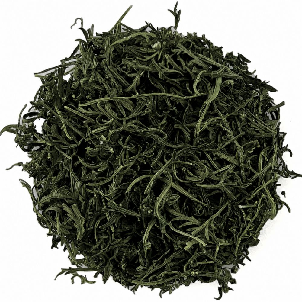 Artemisia Annua, Beifuß einjährig, Deluxe