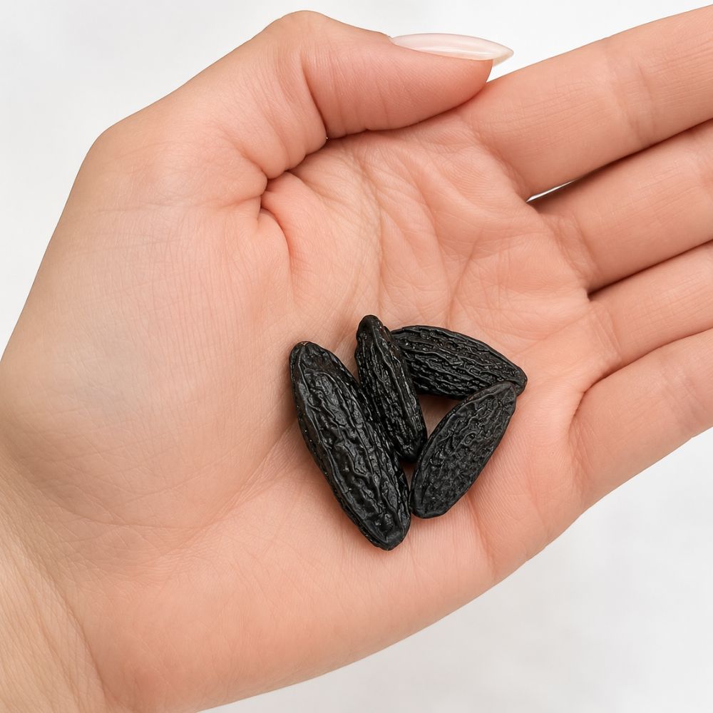 Tonkabohnen, BIO 100g