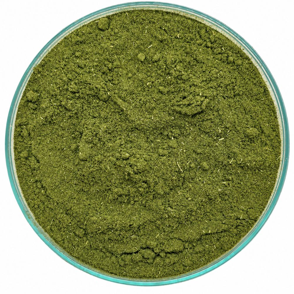 Artemisia Annua Pulver, einjähriger Beifuß gemahlen 50g